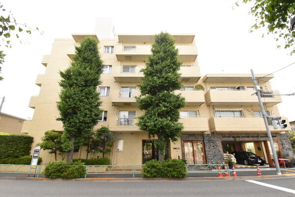 タウンシップ等々力の写真 6枚目