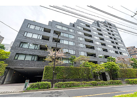 南青山テラス常盤松フォレストの写真 8枚目