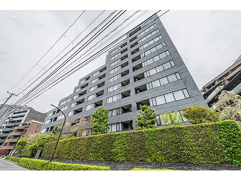 南青山テラス常盤松フォレストの写真 9枚目