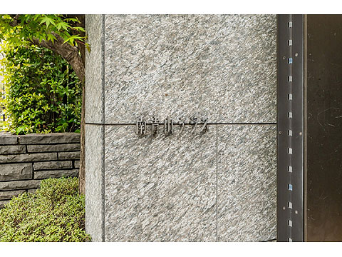 南青山テラス常盤松フォレストの写真 11枚目