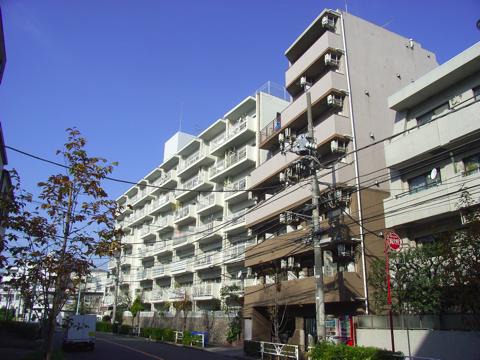 菱和パレス駒場東大の写真 7枚目