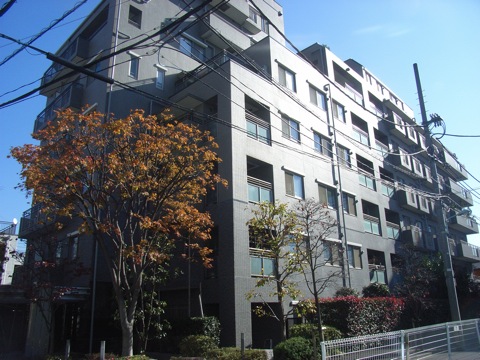 インペリアル代々木の杜の写真 11枚目