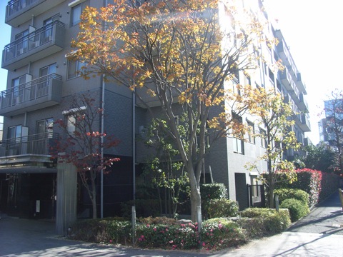 インペリアル代々木の杜の写真 12枚目