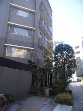 インペリアル代々木の杜の写真 17枚目