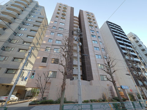 ベルデコリナ本駒込の写真 11枚目