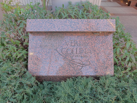 ベルデコリナ本駒込の写真 20枚目