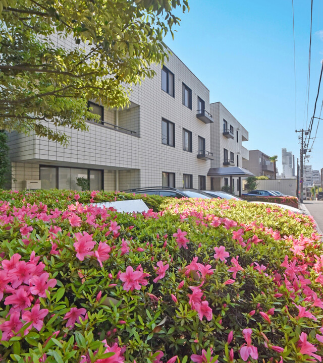 表参道シティハウスの写真 4枚目