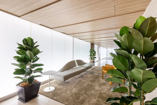 ジオグランデ元麻布の写真 3枚目