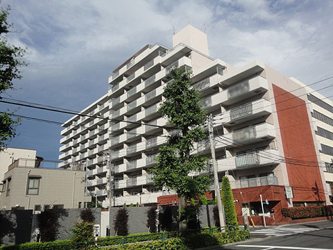 ユーカリハイツ小石川の写真 11枚目