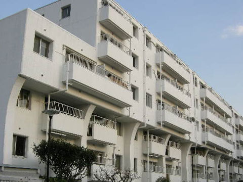 成城アンバサダーの写真 11枚目