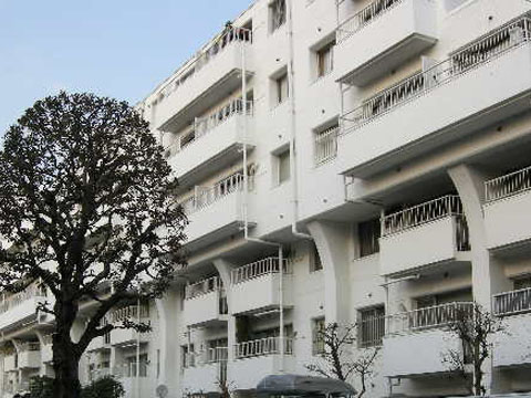 成城アンバサダーの写真 12枚目