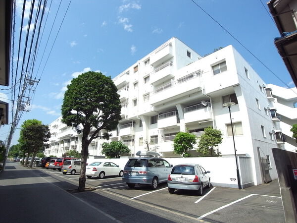 成城アンバサダーの写真 4枚目