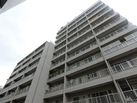 ニューキャッスル麻布の写真 13枚目