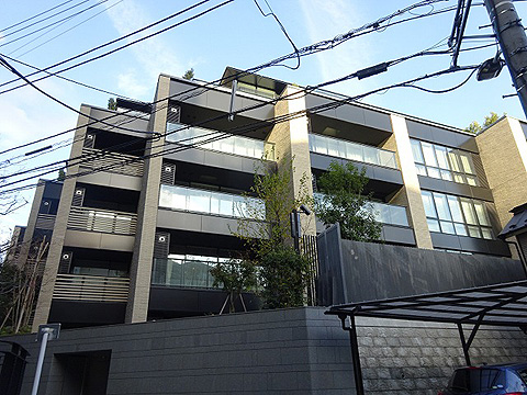 ウェリス有栖川の写真 7枚目