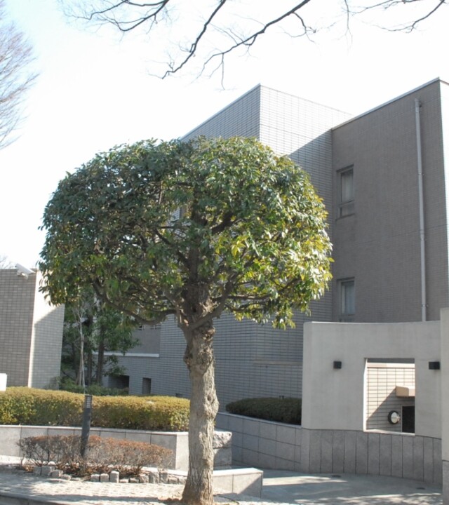 等々力の杜ハイムの写真 5枚目