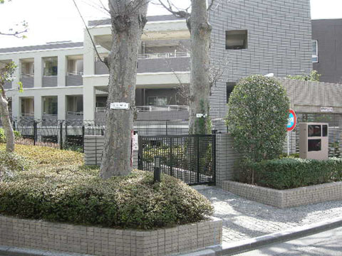 等々力の杜ハイムの写真 12枚目