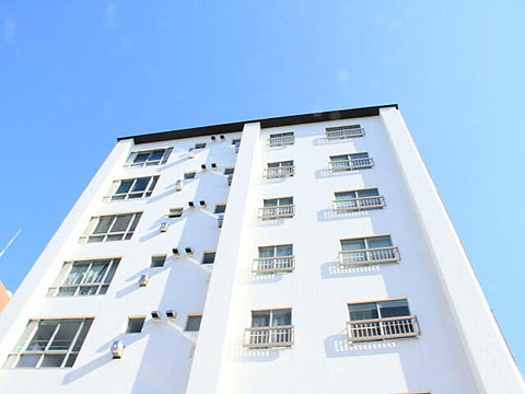 代々木コンドの写真 12枚目