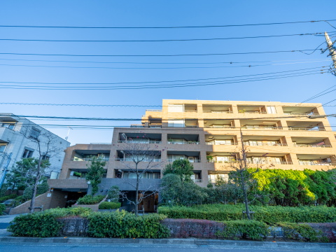 上野毛シティハウスノーステラスの写真 8枚目