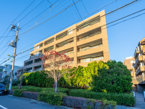 上野毛シティハウスノーステラスの写真 9枚目