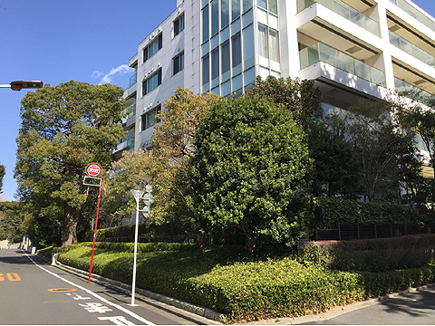 パークマンション南麻布の写真 9枚目