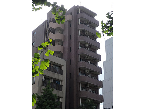 菱和パレス音羽のエントランス・共用部