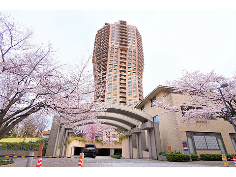 元麻布ヒルズフォレストタワーの写真 4枚目