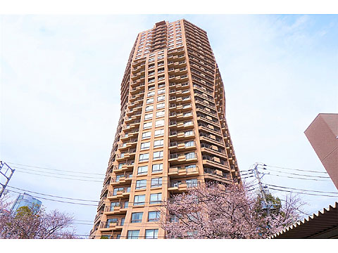 元麻布ヒルズフォレストタワーの写真 8枚目