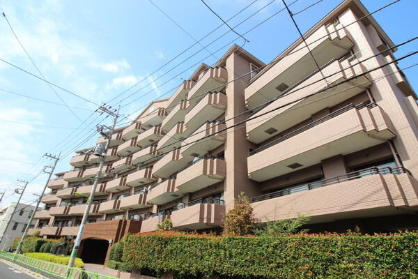 朝日エンブレム奥沢の写真 4枚目