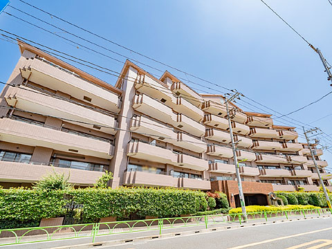 朝日エンブレム奥沢の写真 12枚目