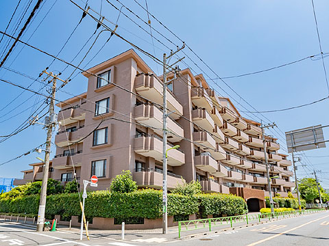 朝日エンブレム奥沢の写真 13枚目