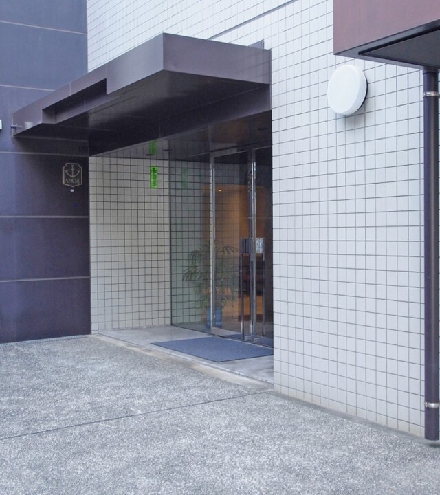 白金三光アンクレーの写真 8枚目