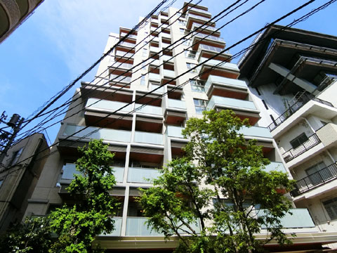 プレミスト代々木公園パークフロントの写真 6枚目