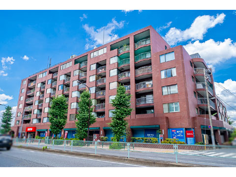 パシフィックニュー自由が丘の写真 14枚目