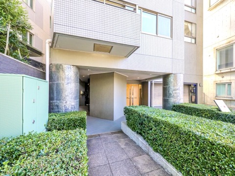 ソフィア東六本木の写真 19枚目