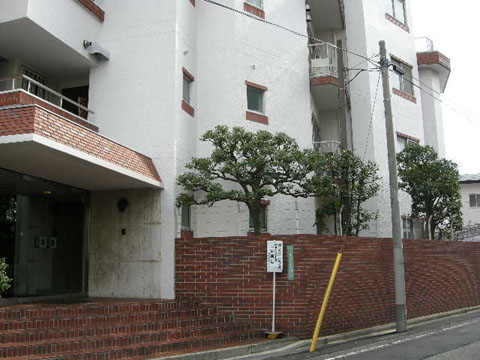 田園調布アビタシオンの写真 13枚目