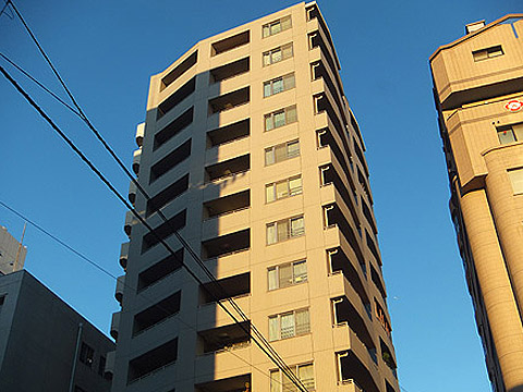 ネオマイム文京音羽の写真 12枚目