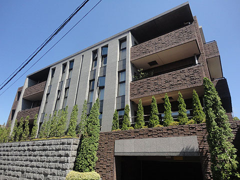 ザ・ドチェスター小日向の写真 12枚目