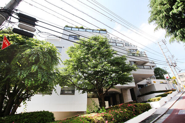 赤坂パインクレストの写真 8枚目