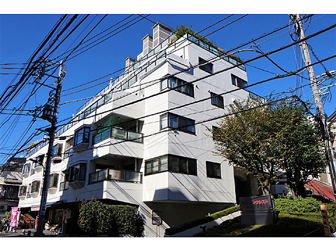 赤坂パインクレストの写真 11枚目