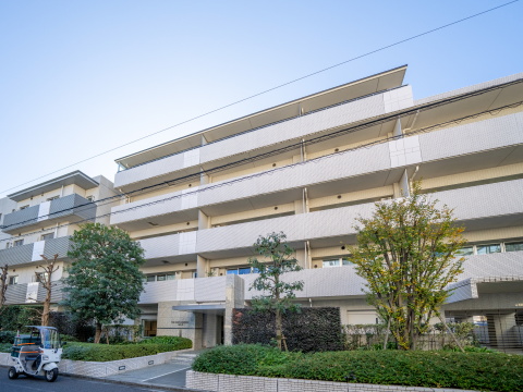 パークホームズ上野毛アートリエの写真 11枚目