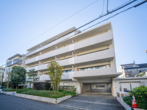 パークホームズ上野毛アートリエの写真 13枚目