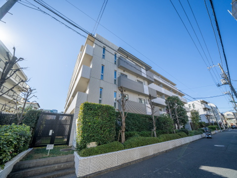 パークホームズ上野毛アートリエの写真 14枚目