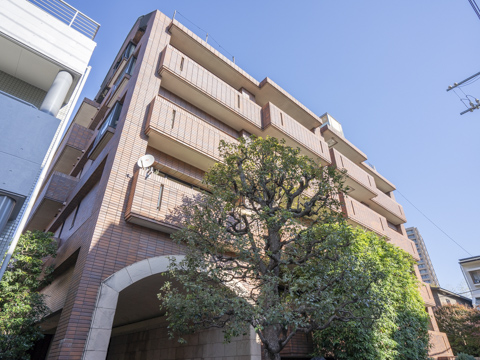 サンクレスト小石川の写真 6枚目