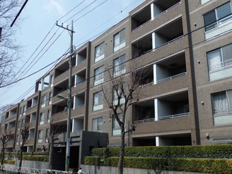 パルテール深沢の写真 15枚目