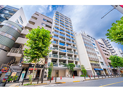 ライオンズアイル赤坂の写真 14枚目