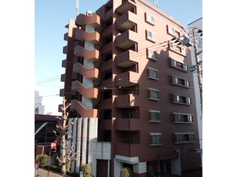 等々力デュープレックスの写真 11枚目