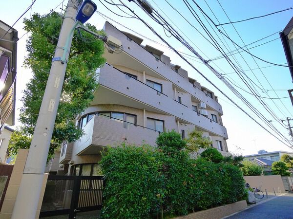 東急ドエルアルス大塚南の写真 10枚目