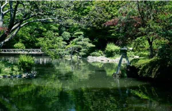 レフィール南麻布の写真 4枚目