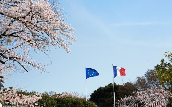 レフィール南麻布の写真 5枚目