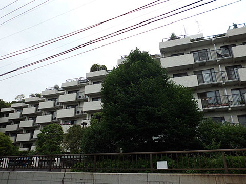 シャンボール瀬田の写真 12枚目